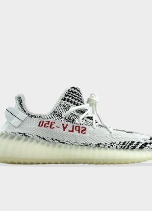 Adidas yeezy boost 350 v2 zebra.