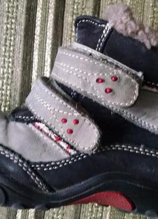 Сапожкт фламинго