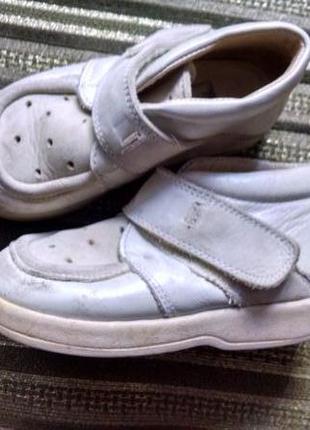 Черевики шкіра іспанія