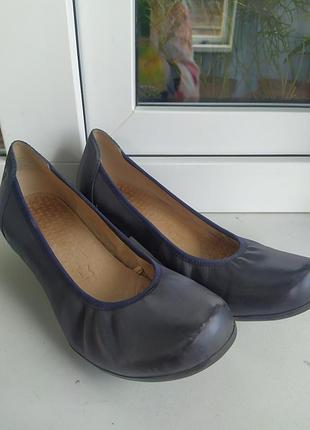 Туфлі - caprice , шкіра