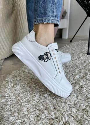 Кеди