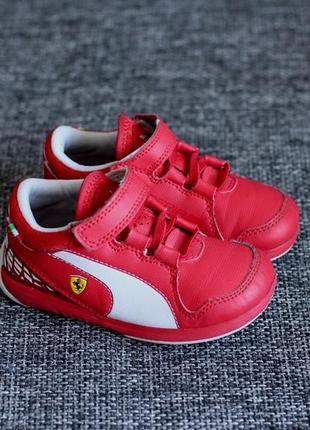 Кросівки puma valorosso ferrari sf оригінал