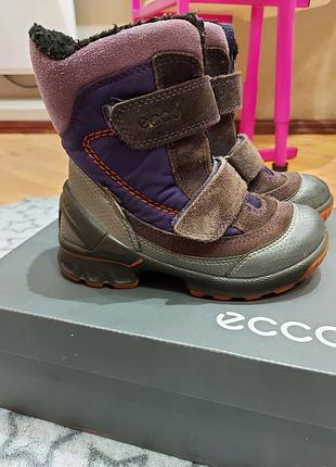 Зимние сапоги ecco