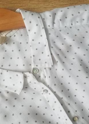Біла блуза в горох