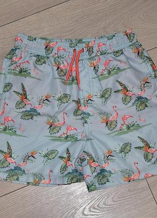 Бирюзовые летние пляжные шорты с фламинго на 9-10 лет george