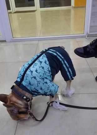 Дождевик для собак на флисе унисекс одежда для собак