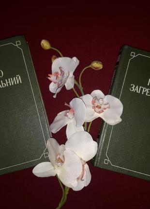 Книги павло загребельний,"твори "