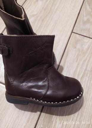 Чобітки zara, шкіра зовні і всередині.