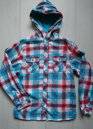 Сорочка на довгий рукав animal