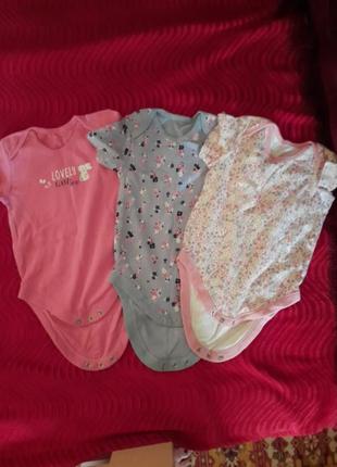 Набор фирменных бодиков