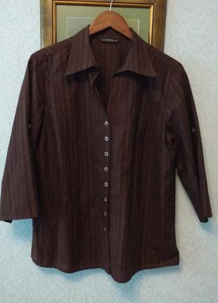 Блуза рубашка шоколадного цвета в полосочку 100% хлопок