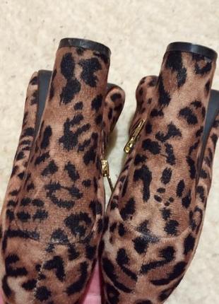 Ботинки, полусапожки под замш, леопардовый принт,395 фото