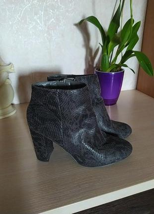 Ботинки с змеиным принтом