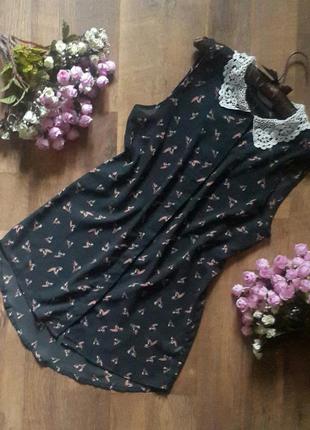 Великий вибір стильних речей. красива блуза.