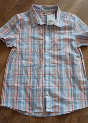 Новая рубашка h&m на 9-10 лет