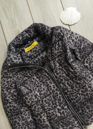 Курточка на синтепоне леопардовая6 фото