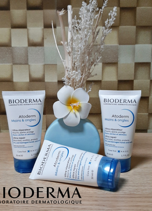 Крем для рук і нігтів bioderma atoderm  501 фото