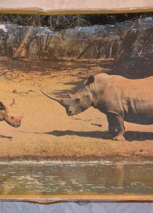 Пазл с носорогами на 500 деталей1 фото