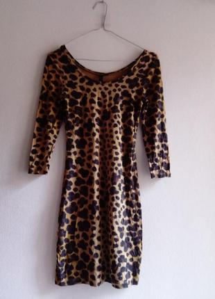 Мини платье леопардовое hm1 фото