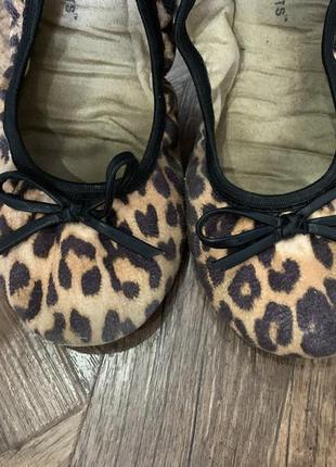 Мягкие балетки тапочки леопардового принта, размер 37/38