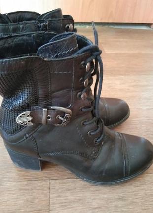 Черевики жіночі демісезонні