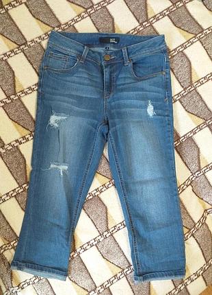 Брижди жіночі