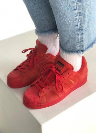 Жіночі кросівки adidas superstar red6 фото