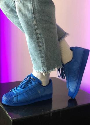 Жіночі кросівки adidas superstar blue