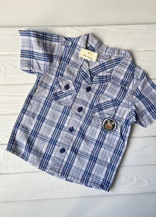 Рубашка на мальчика с коротким рукавом, хлопок ,