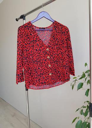 Блуза жіноча peacocks