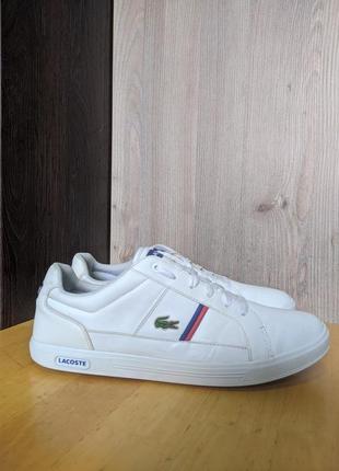 Кроссовки кожаные lacoste europa tcl