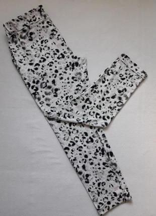 Суперовые трикотажные брюки джоггеры в леопардовый принт высокая посадка батал george5 фото