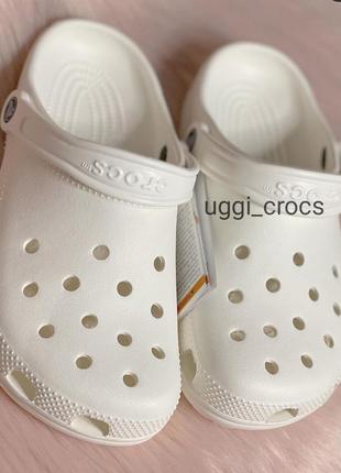 Белые кроксы crocs classic white 36-42 р крокс сабо