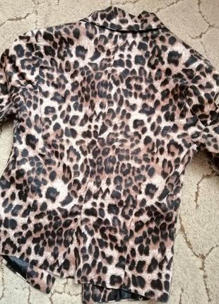 Леопардовый приталенный короткий пиджак катоновый coolcat5 фото