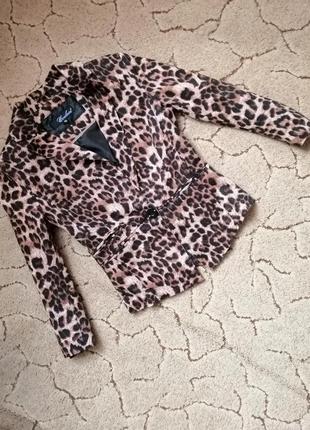 Пиджак жакет леопардовый катон короткий приталенный1 фото