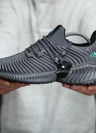 Кроссовки adidas alphabounce instinct4 фото