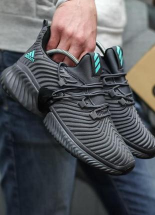 Кросівки adidas alphabounce instinct