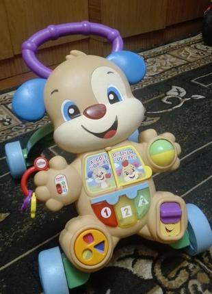 Толокар щенок
