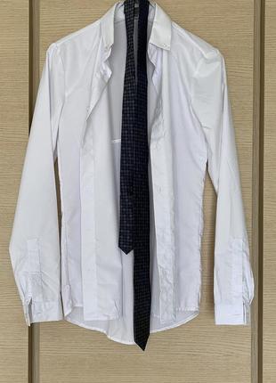 Брендовая рубашка + галстук/ размер xs