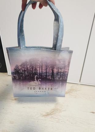 Мила невелика сумка на руку ted baker4 фото