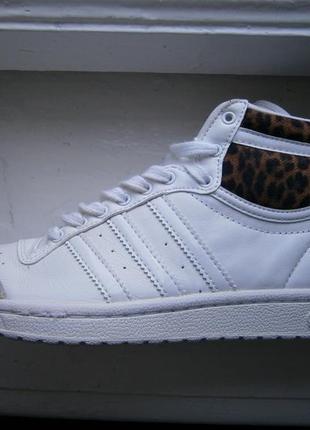 Кеди високі adidas top ten hi sleek leather white m20833 оригінал натуральна шкіра1 фото