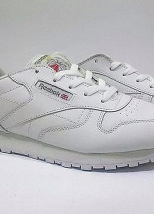 Кроссовки reebok classic white1 фото