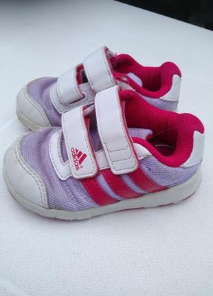 Кросівки adidas