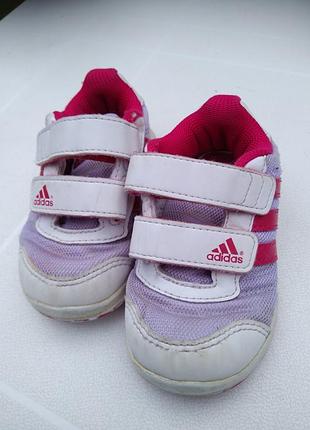 Кросівки adidas 2