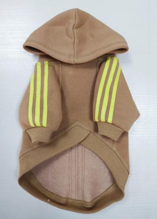 Одежда для животных