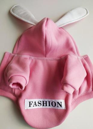 Одежда для животных