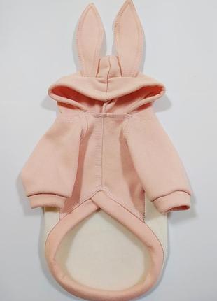 Одежда для животных