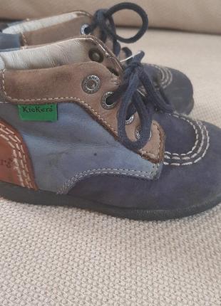 Черевички kicker's