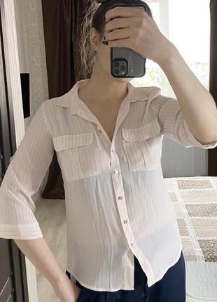 Блуза, рубашка