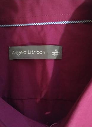 Рубашка нарядная рубашка классическая 4